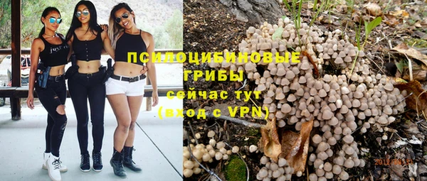 apvp Белоозёрский