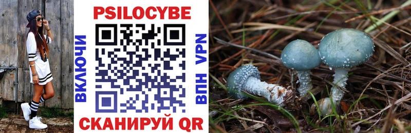 Купить закладки  Советск  Псилоцибиновые грибы MAGIC MUSHROOMS 
